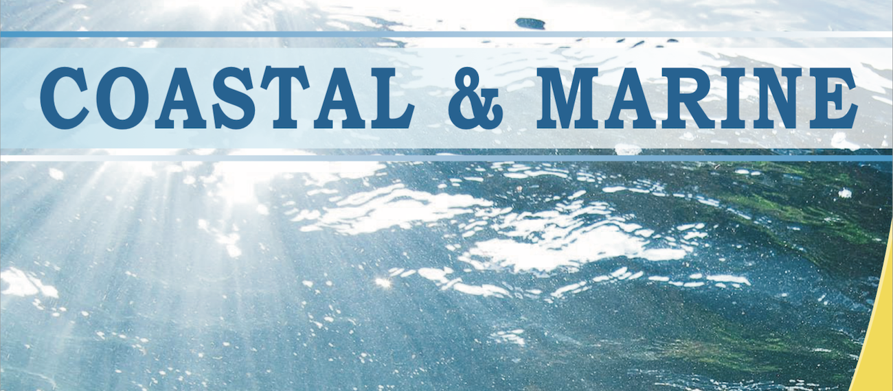 Blue mussel farming in the Baltic Sea