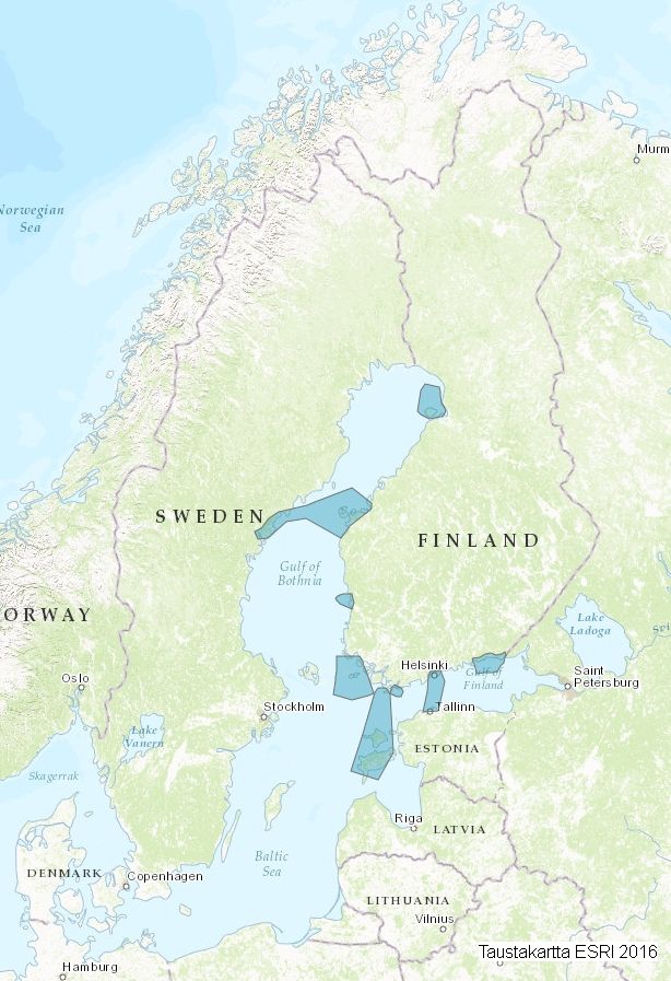 Map_case study_NBA_PP3.jpg
