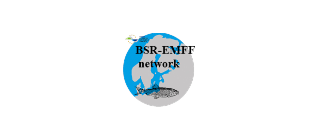 bsr-emff