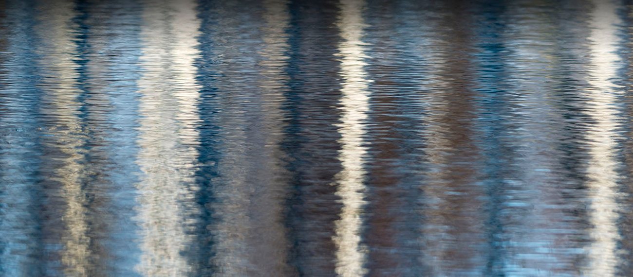 #BlueNordic header picture