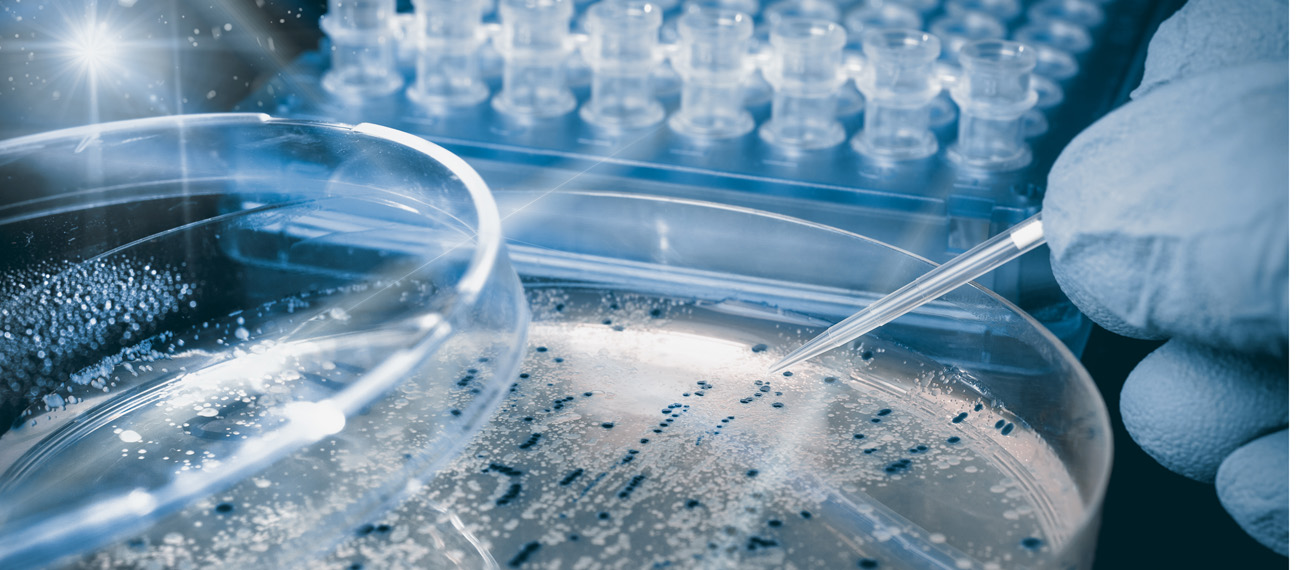 These are the candidates for #BalticBlueBiotechAlliance Matchmaking Event