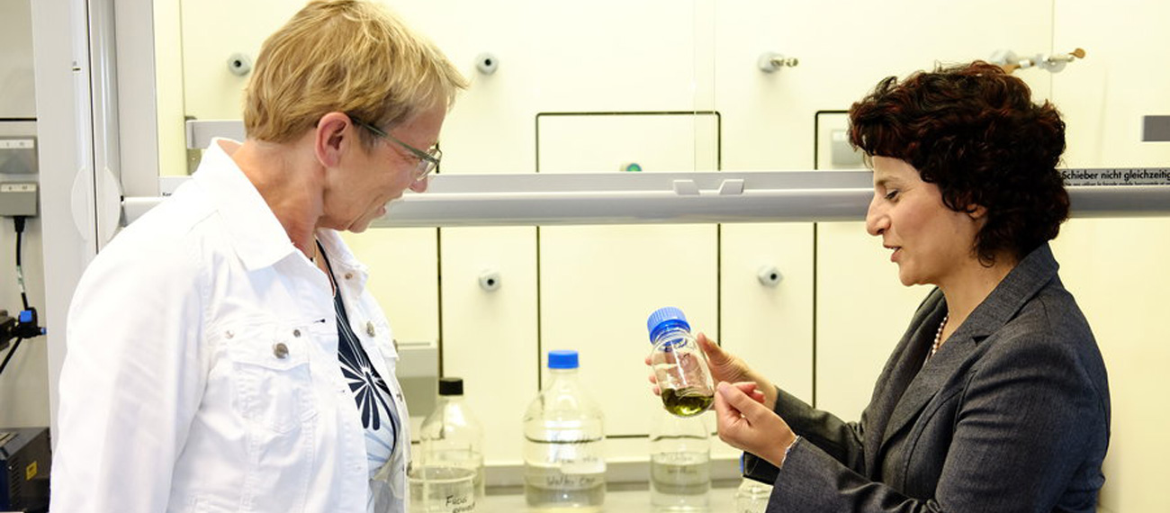 Minister Spoorendonk visits Alliance project