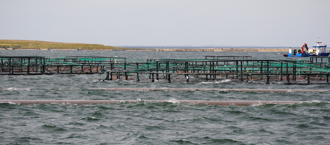  BBG partners come together for 3rd partner meeting in Korsør, Denmark