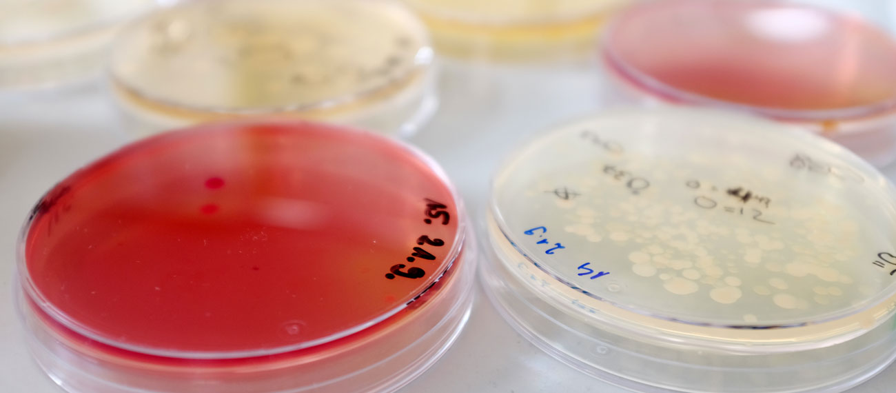 #BalticBlueBioAlliance Matchmaking Event: save the date!