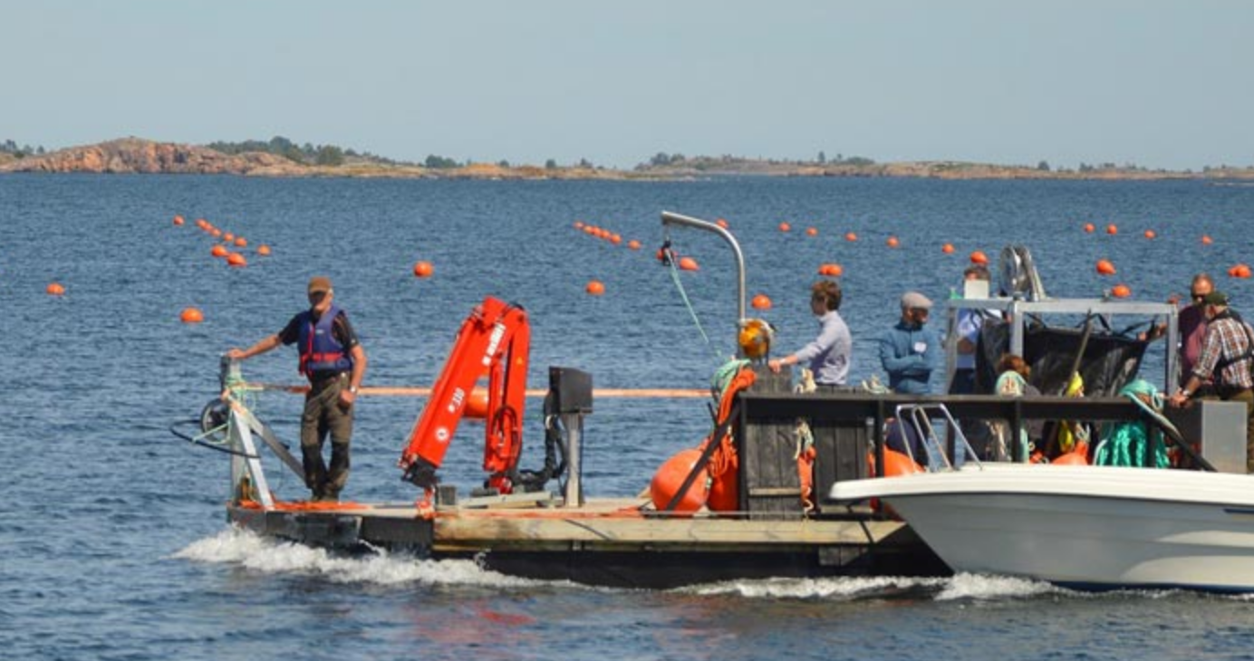 Meet the farmer: Mats Emilsson