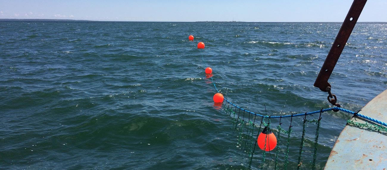 Meet the farmer: Urmas Pau