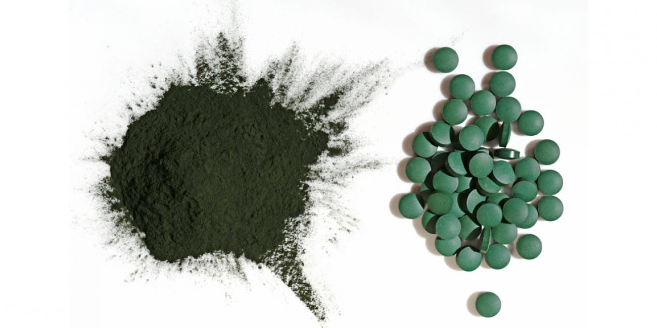 Biotrino: bioscience start-up discovers a type of algae rich in proteins