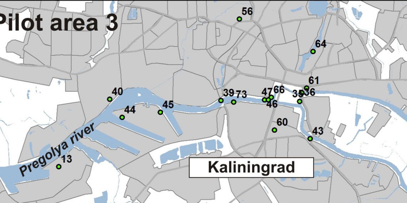 Russian case: South-Estern Baltic & Gulf of Finland