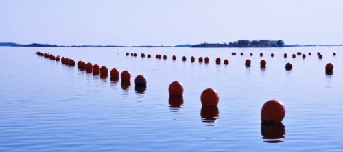  Baltic Blue Growth featured in French aquaculture magazine “Cultures Marines”