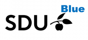 University of Southern Denmark (SDU)