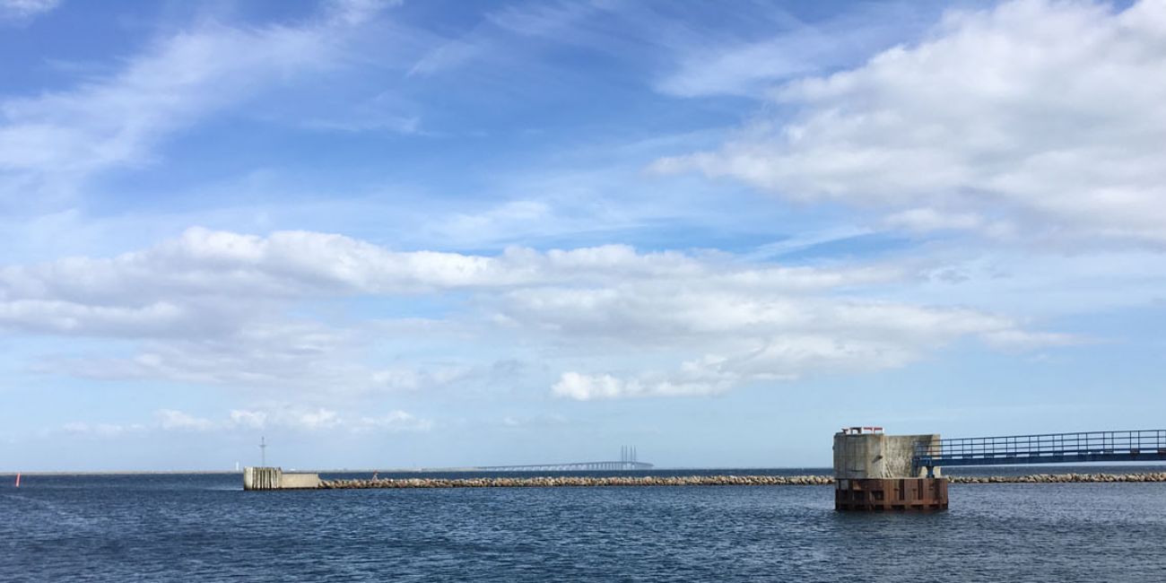 Danish case: The Oeresund and the Bay of Koege