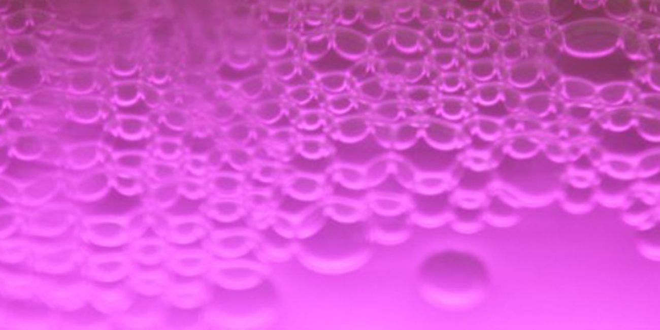 Power Algae: turning CO2 from waste into resource with microalgae