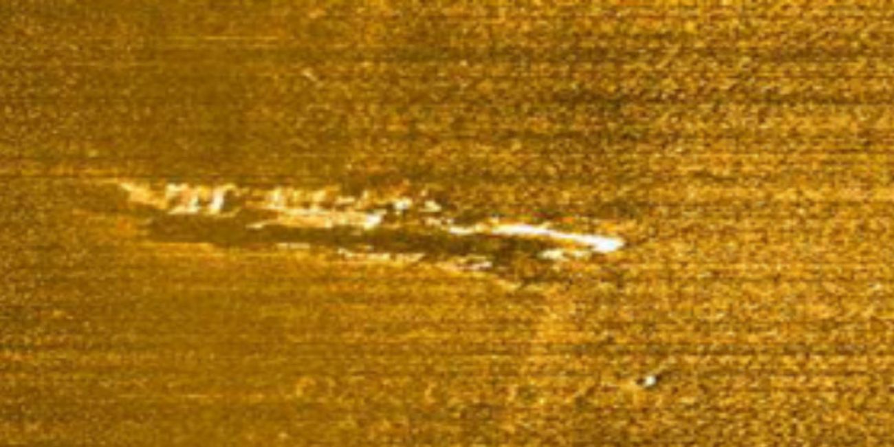 Lithuanian case - Relict forest area