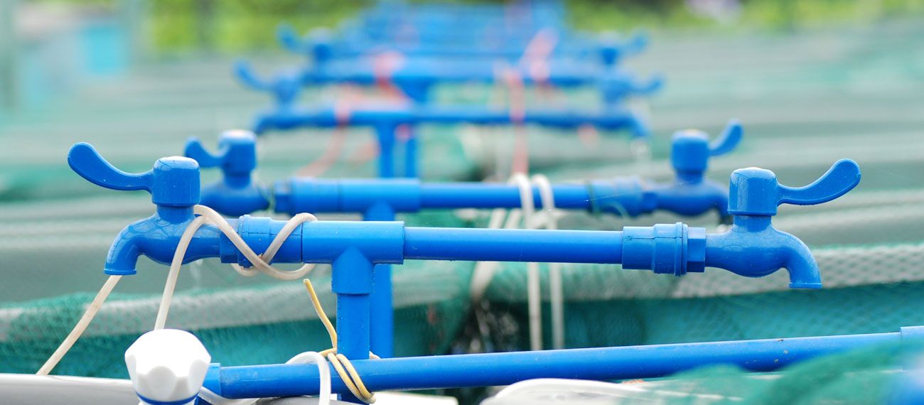 InnoAquaTech